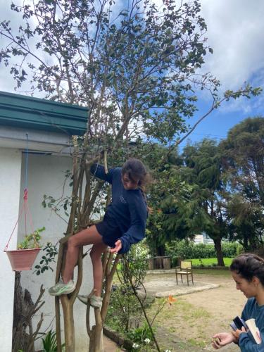 silver meir bungalow