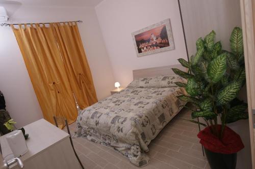 rooms monteverde