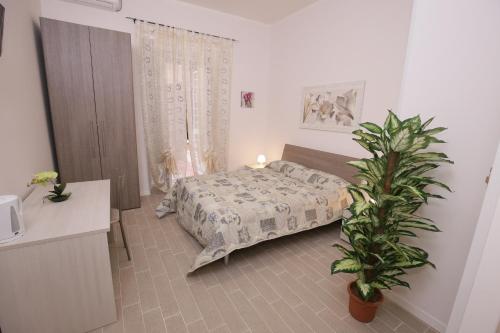 rooms monteverde