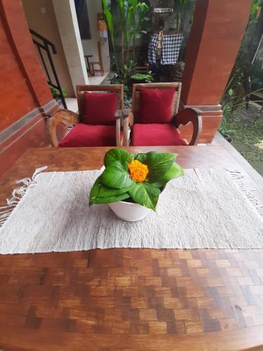 soca garden guest house