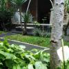 soca garden guest house