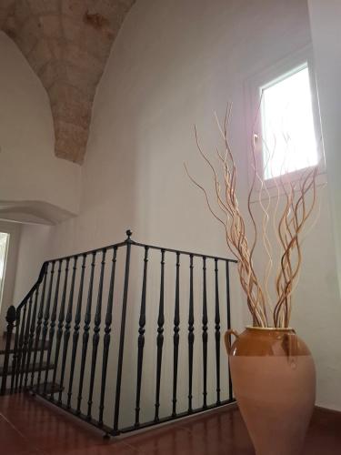 palazzo vaglio