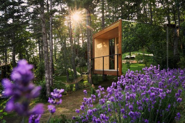 theodosius forest village glamping in vipava valley