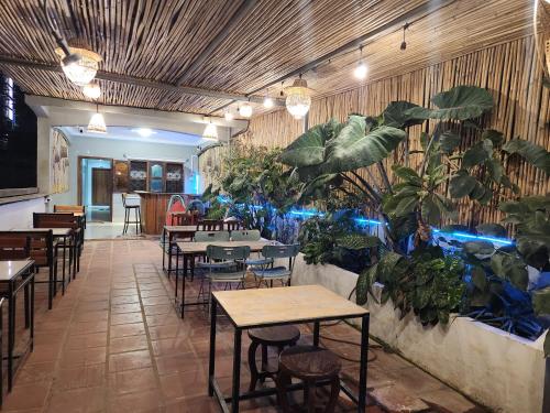 the blue guest house