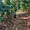 coorg