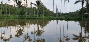 coorg