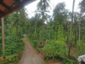 coorg
