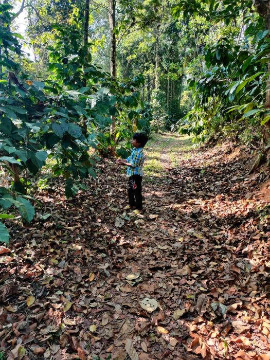 coorg