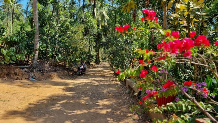 coorg