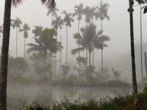 coorg