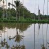 coorg
