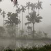 coorg
