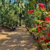 coorg