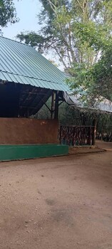 hidden jungle village