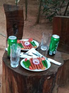 hidden jungle village