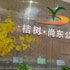 orange tree international apartment