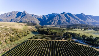 Wildebraam Berry Estate,Overberg>>Cape Town,3 star
