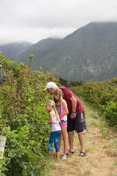 Wildebraam Berry Estate,Overberg>>Cape Town,3 star