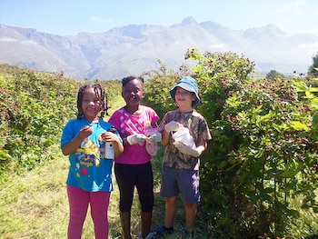 Wildebraam Berry Estate,Overberg>>Cape Town,3 star