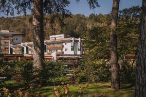 grand hotel terme di comano