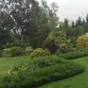 mountain view lodge