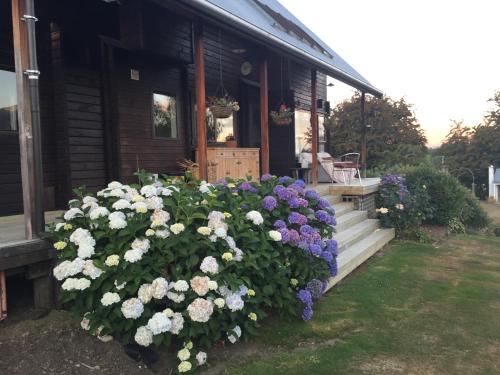 mountain view lodge