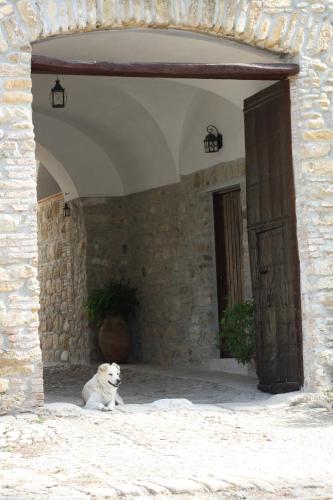 ridocco agriturismo
