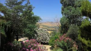 ridocco agriturismo