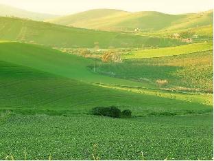 ridocco agriturismo