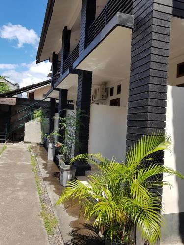 kost and homestay 911