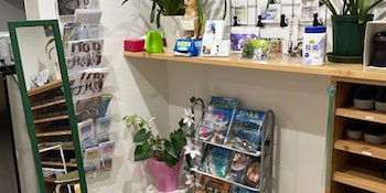 itoshima guesthouse and backpackers tomo hostel