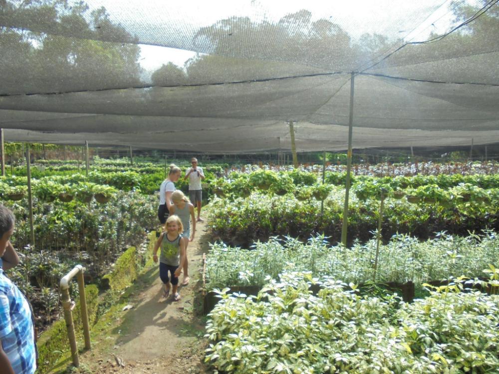 pinnawala backpack residencies