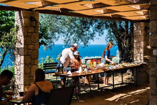 holiday park olive tree