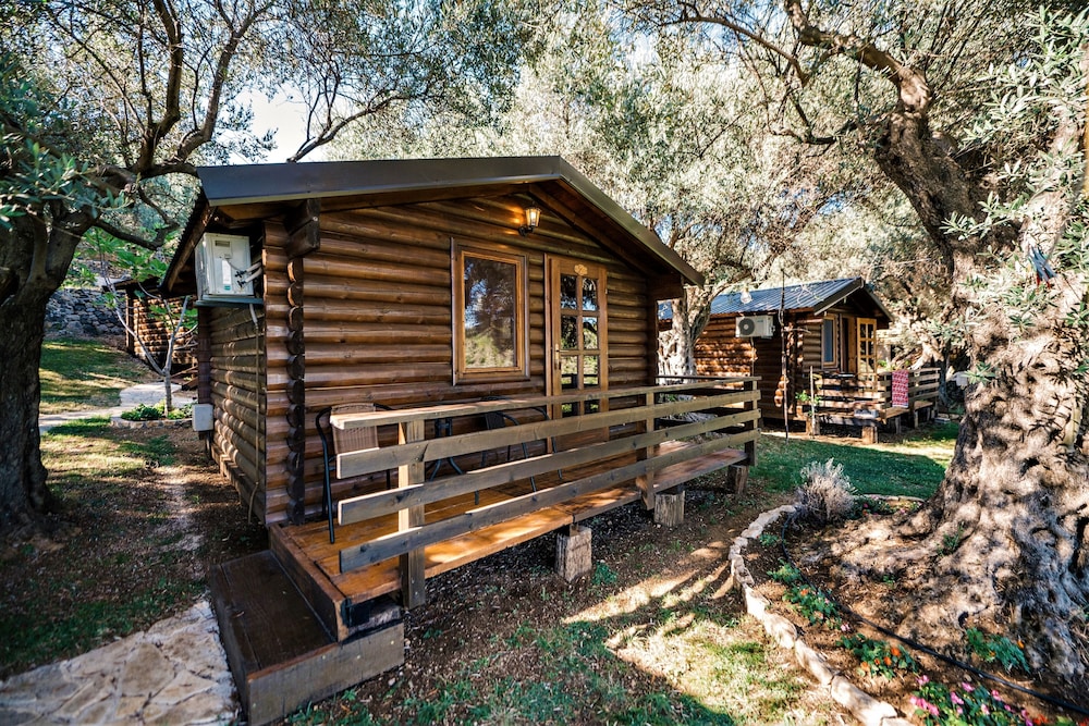 holiday park olive tree