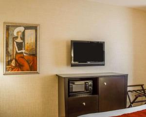 Comfort Suites Edinboro,Erie>>Edinboro,3 star