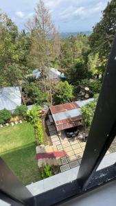 mandhasativa homestay