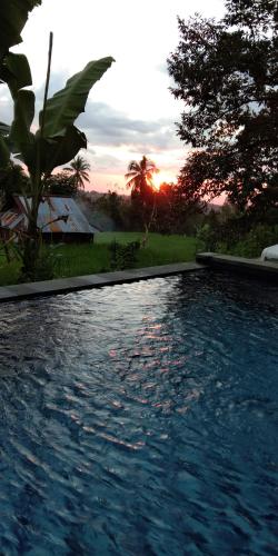 mandhasativa homestay