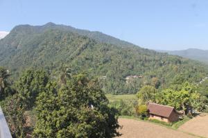 Mandhasativa Homestay,Near Sekumpul Waterfall,3 star