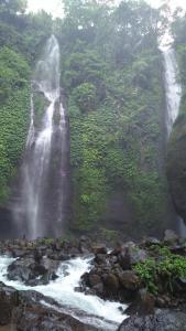 Mandhasativa Homestay,Near Sekumpul Waterfall,3 star