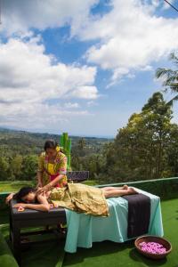 Mandhasativa Homestay,Near Sekumpul Waterfall,3 star
