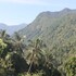 mandhasativa homestay
