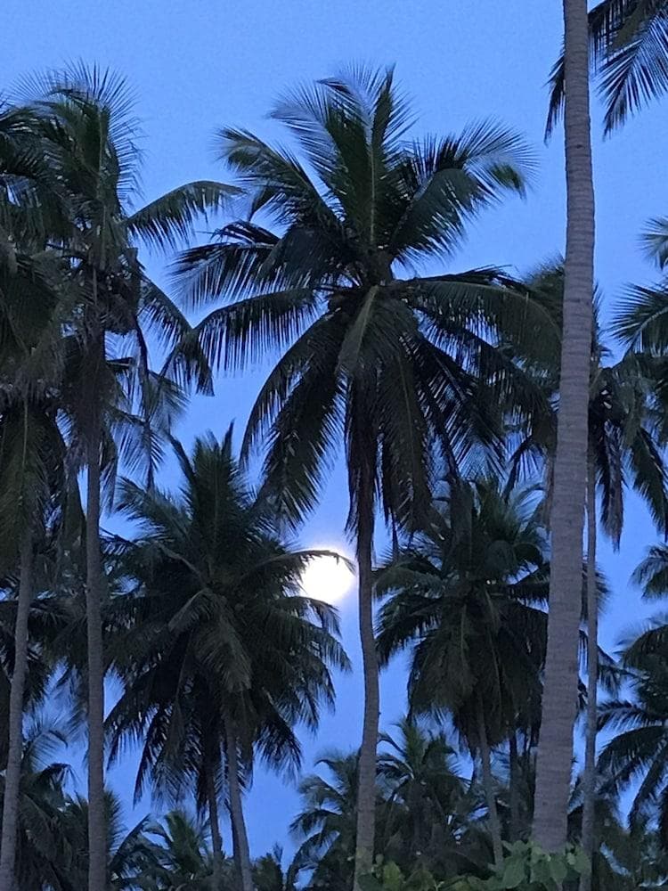 blue waters arugambay