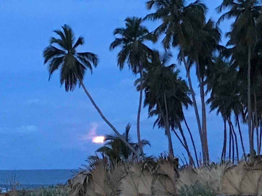 blue waters arugambay