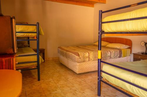la casa del sol naciente