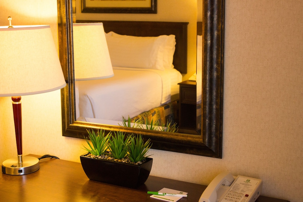 holiday inn hotel and suites west edmonton by ihg