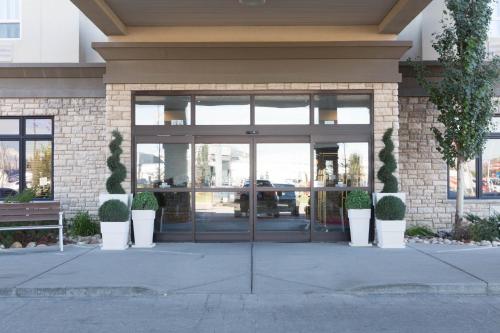 holiday inn hotel and suites west edmonton by ihg