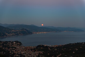 il leccio luxury resort