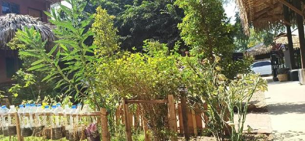 nyaung u
