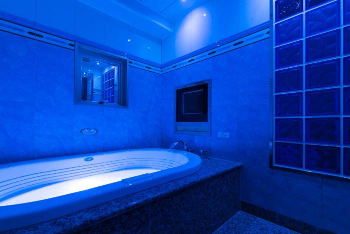 hotel d wave shinjuku adults only