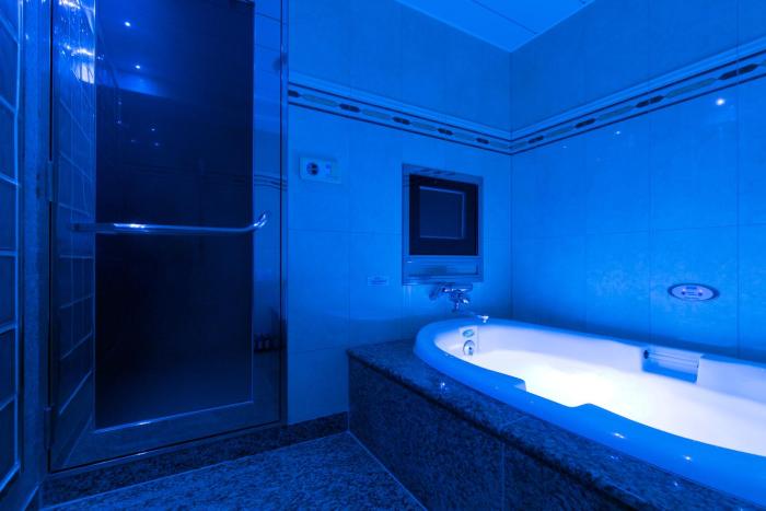 hotel d wave shinjuku adults only